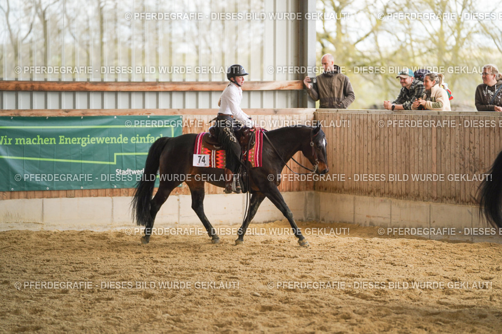 DSC08817 | Pferdegrafie