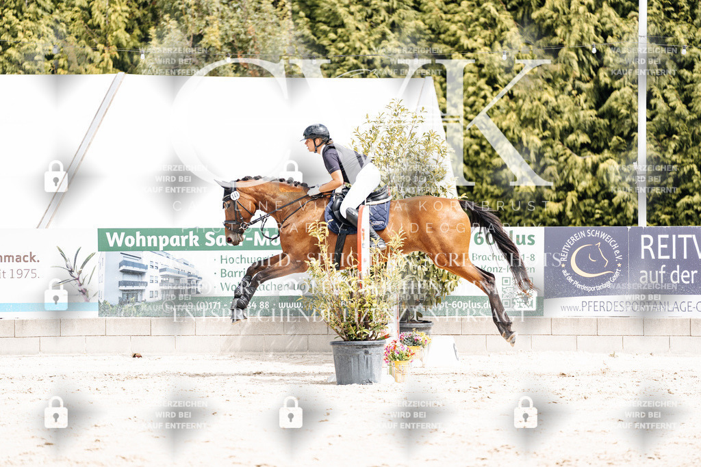 CK906528 | Turnierfotografie Pferdefotografie Trier Rheinland-Pfalz Pferdesport Reitsport Tierfotografie Sportfotografie Pferdevideo Pferdevideografie Equestrianvideography equestrianphotography  - Realisiert mit Pictrs.com
