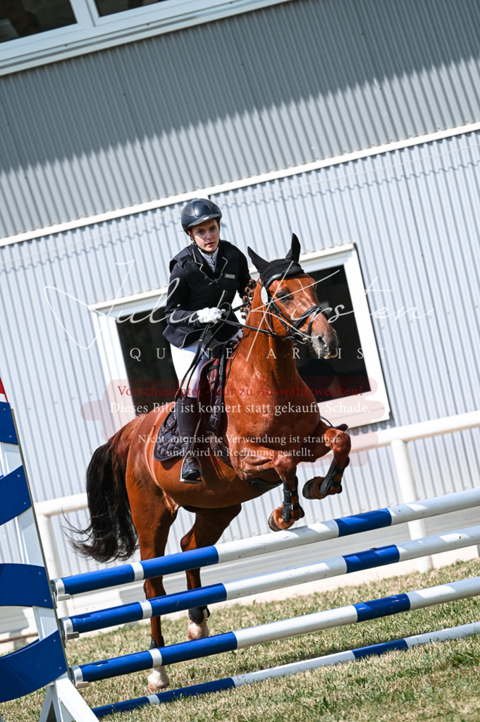 DSC_8840 | Pferde- und Turnierfotografie in Westsachsen. Pferdeportraits, Auftragszeichnungen und intuitive Kunst.