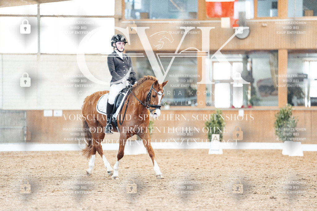 CK908888 | Turnierfotografie Pferdefotografie Trier Rheinland-Pfalz Pferdesport Reitsport Tierfotografie Sportfotografie Pferdevideo Pferdevideografie Equestrianvideography equestrianphotography  - Realisiert mit Pictrs.com