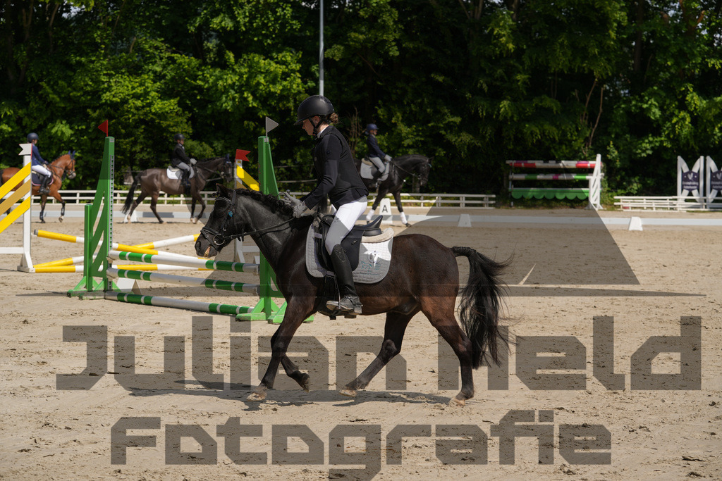 DSC03328 | Julian Held Fotografie - Realisiert mit Pictrs.com