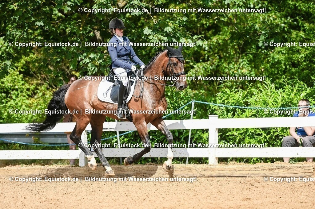 20230716_01_Dressurprüfung Kl.M_0192 | equistock