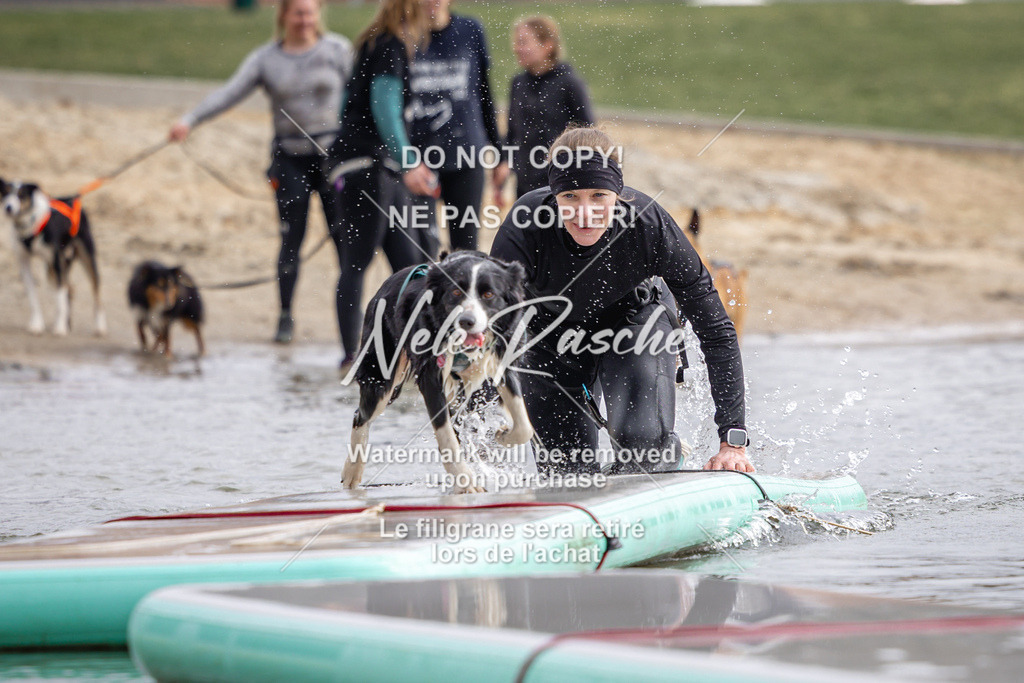 nelerasche_Hulsbeek_Sa1230-1330_61 | nelerasche