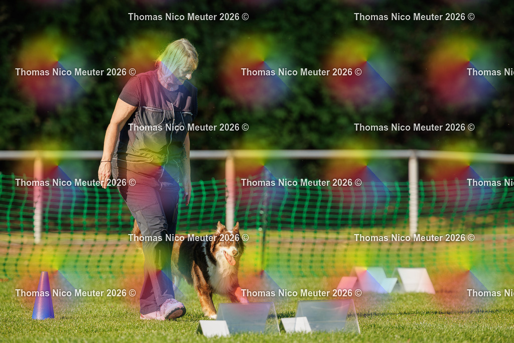 Thomas_Nico_Meuter(C)_04. Oktober 2026_223A3813 | Bild von Thomas Nico Meuter - Realisiert mit Pictrs.com