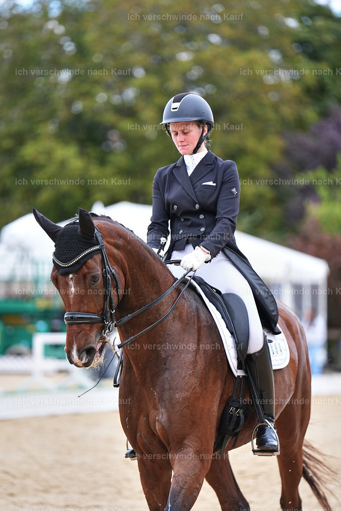 6-084-AMATUER-DRESSUR S_  -Marixx-3733 | working equitationturnier fotograf videograf stoibphotography marixx film working equitation deutschland reitsport turnierfotografie eventfotografie equestrian events