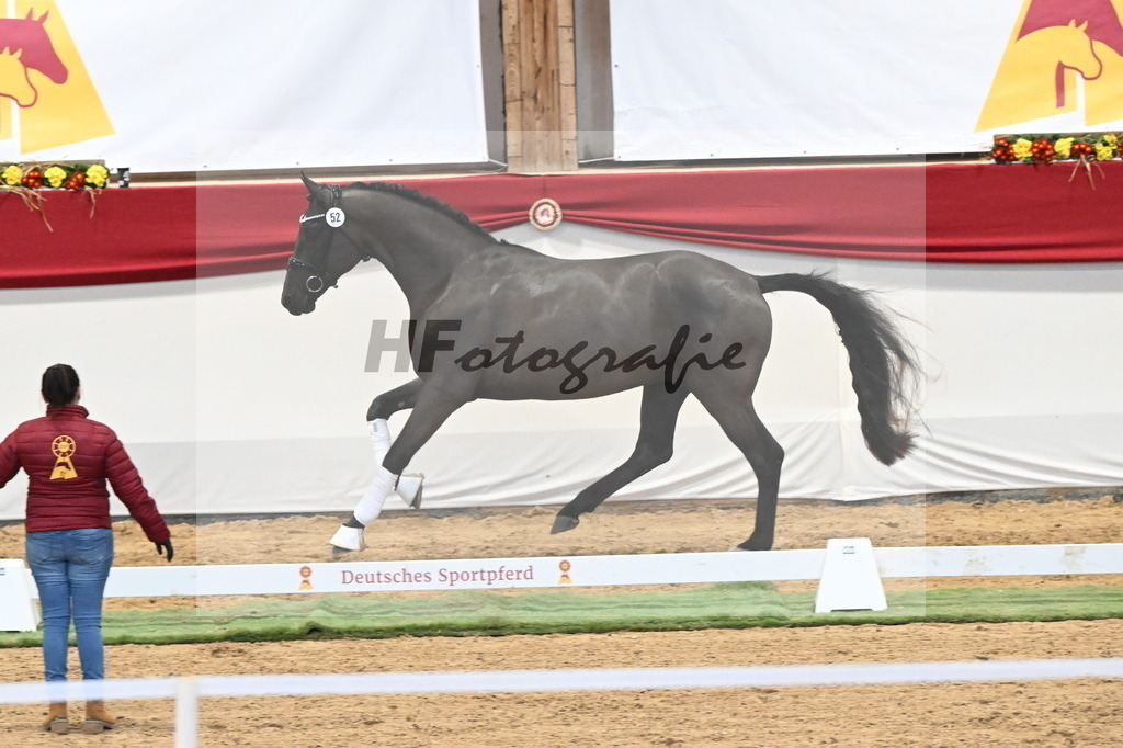 Kat.-Nr. 52 v. Fanegro_Schulze Averdiek_3260313 | hf-fotografie - Realizzato con Pictrs.com