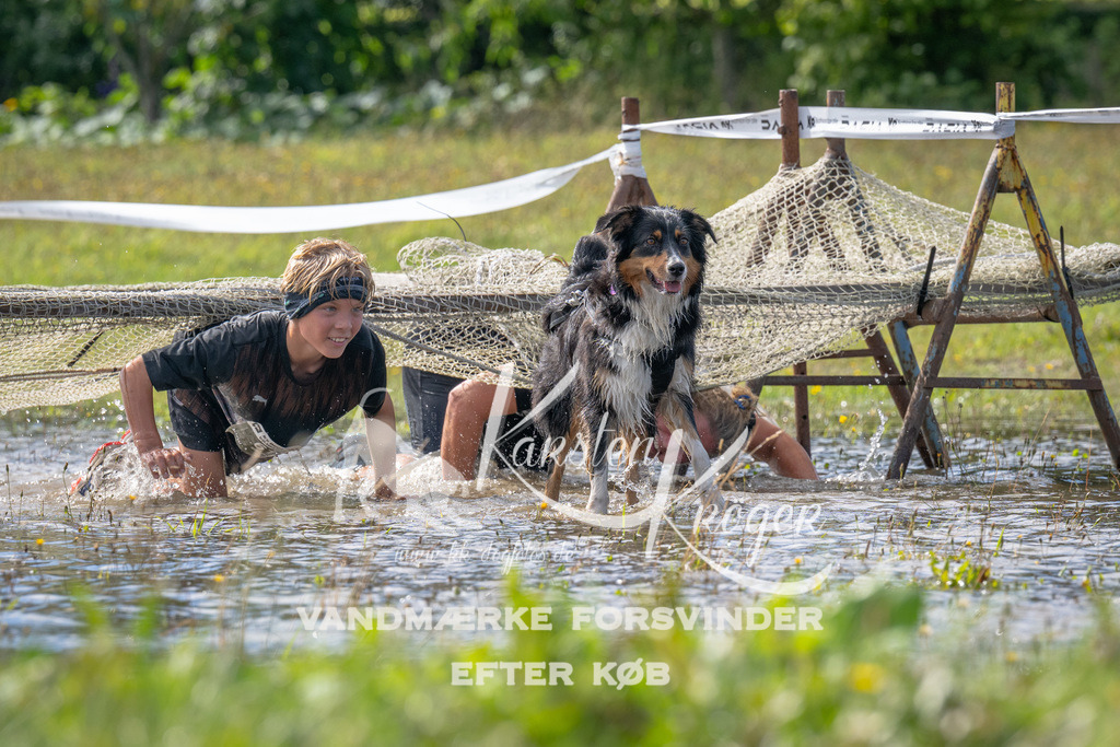 1155_ZZ90538 | kk-dogfotos