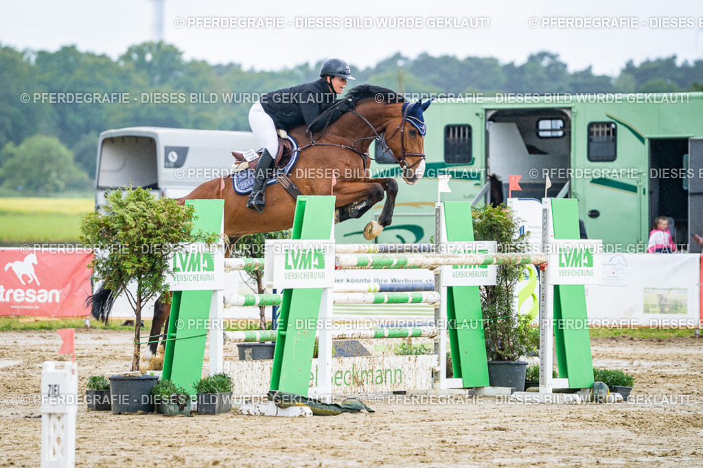 DSC03827 | Pferdegrafie