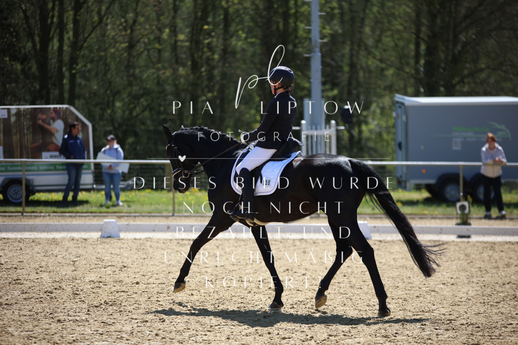 IMGT1377 | pl-fotografie