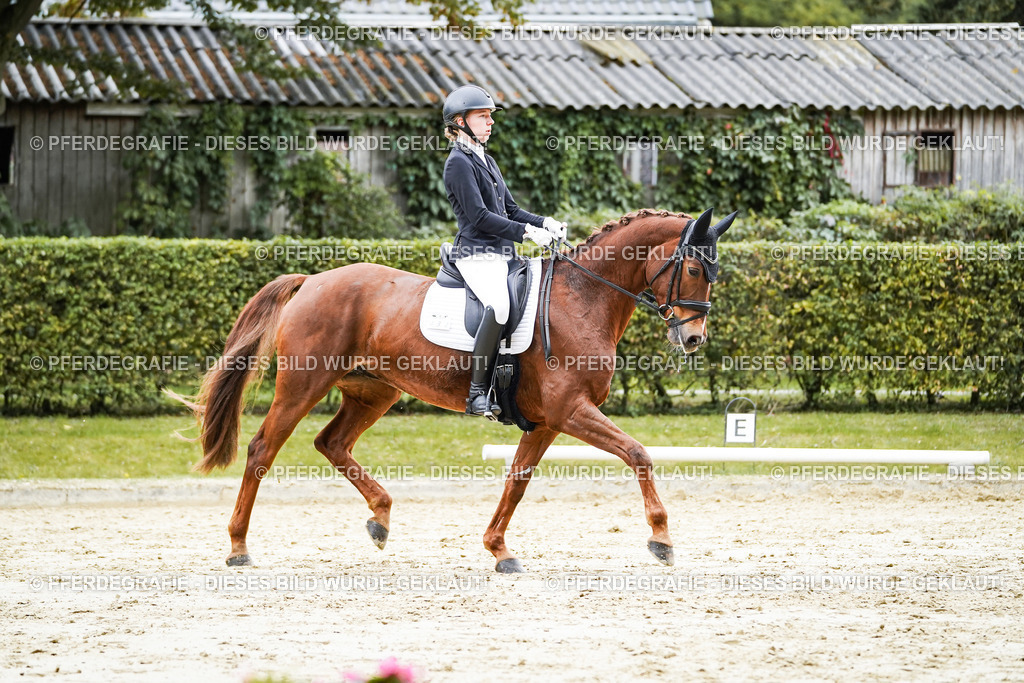 DSC07323 | Pferdegrafie