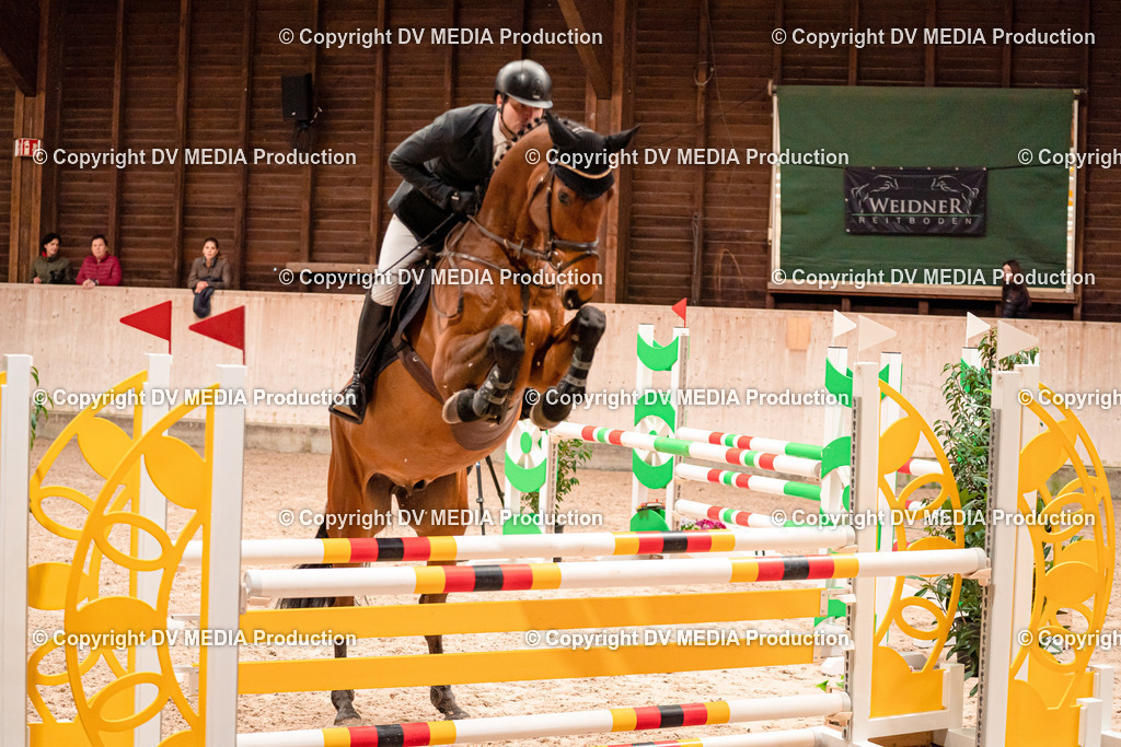 Springen Tag 1-331 | dv-media-shop - Realisiert mit Pictrs.com