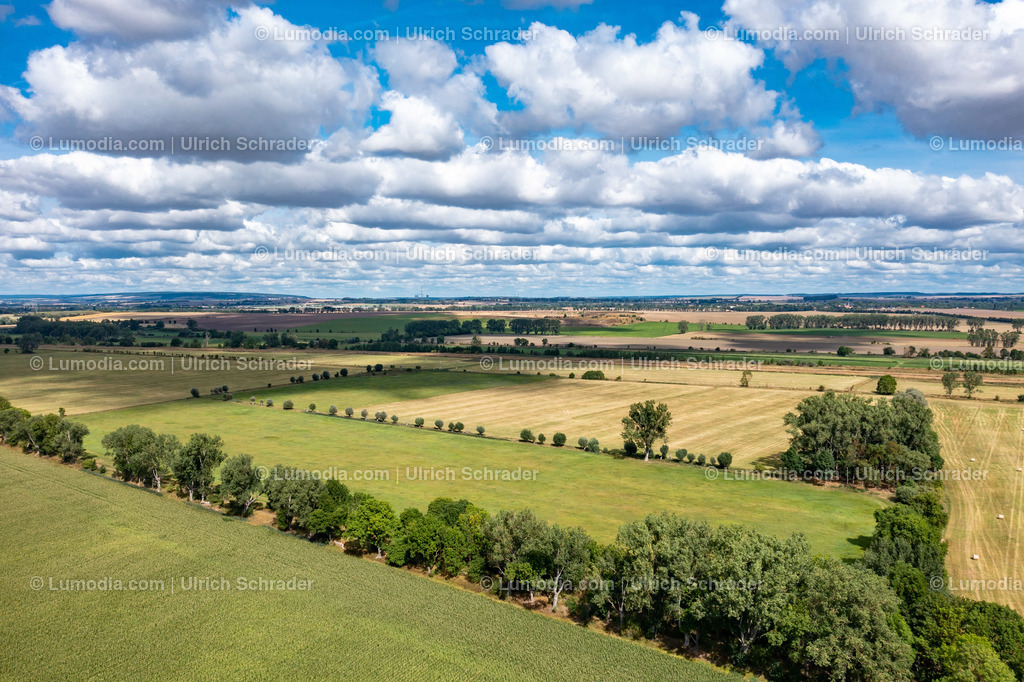 10049-51420 - Im Großen Bruch | Stockfoto und Bilderpool mit Bildmaterial aus Deutschland, dem Harz, Halberstadt, Quedlinburg, Wernigerode und weltweit. Qualitativ hochwertige und professionelle Fotos anschauen und kaufen. - Realisiert mit Pictrs.com