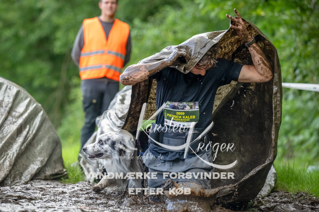 1155_ZZ90303-Bearbeitet | kk-dogfotos