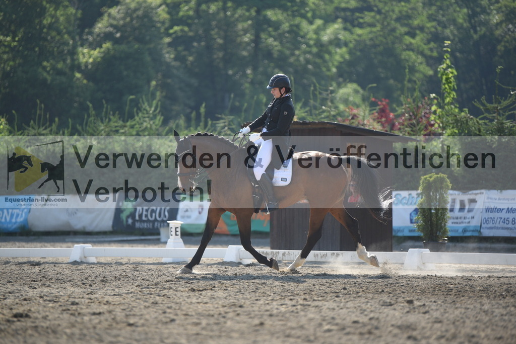 DSC_3080 | equestrian-live-com