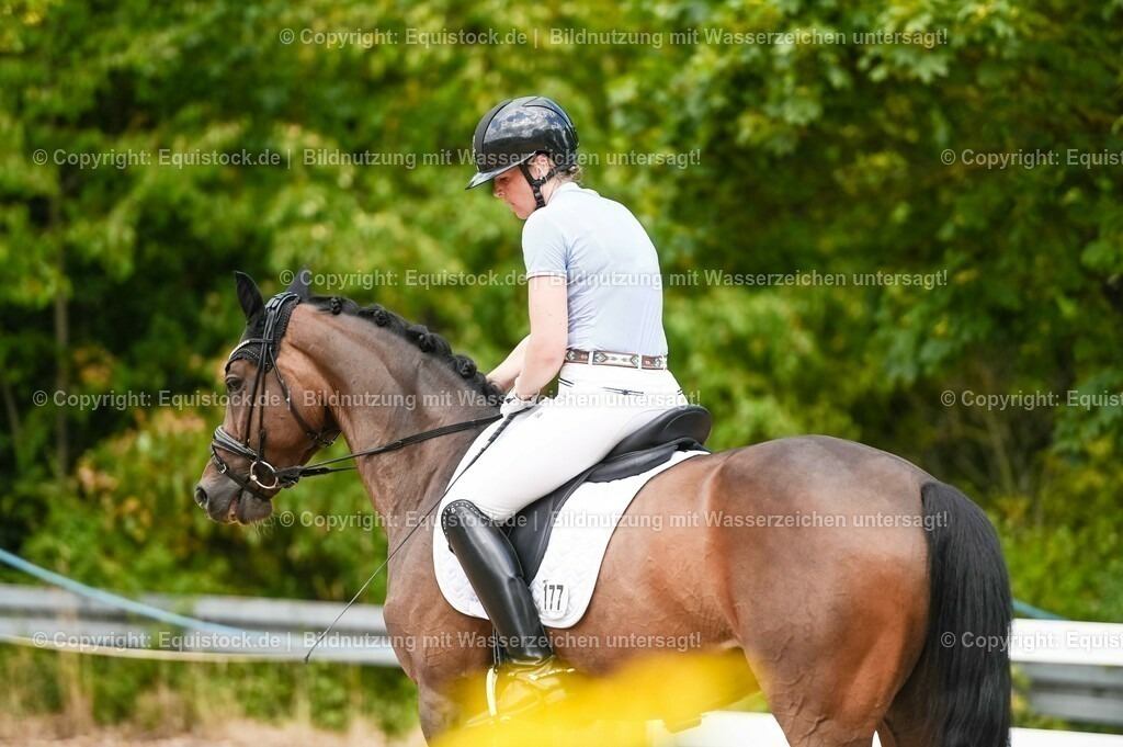 20230715_02_Dressurreiterprüfung Kl.L_0425 | equistock