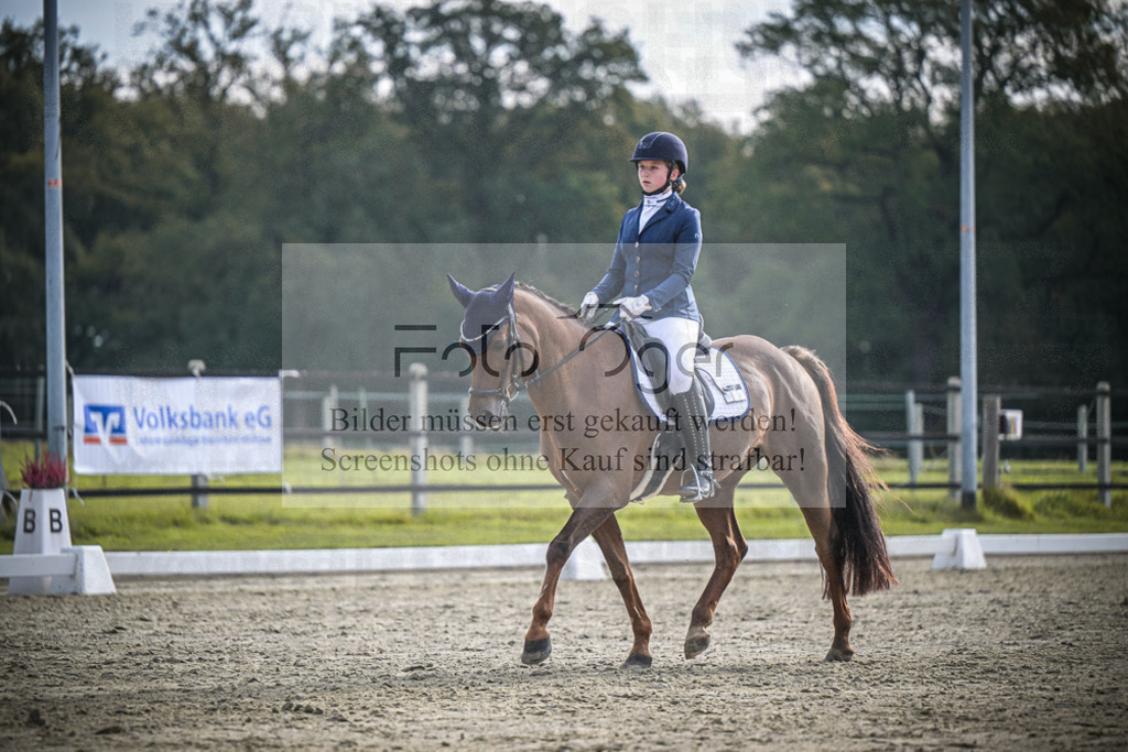DOS_B156 | Entdecke hochwertige Reitturnierfotos von Foto Oger. Professionell, emotional und authentisch – jetzt Lieblingsmomente im Shop bestellen.Deutschlandweite Turnierfotografie. - Realisiert mit Pictrs.com