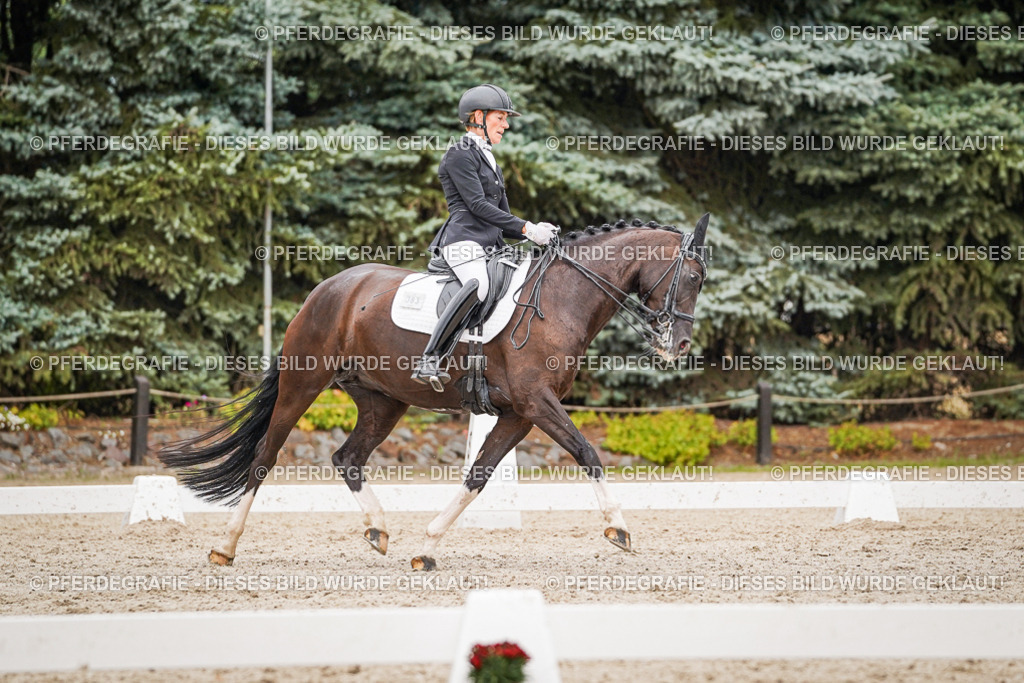 DSC07580 | Pferdegrafie