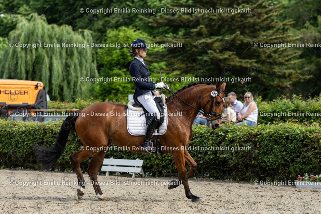 CL5A6234-2 | Emilia Reinking Fotografie - Realisiert mit Pictrs.com