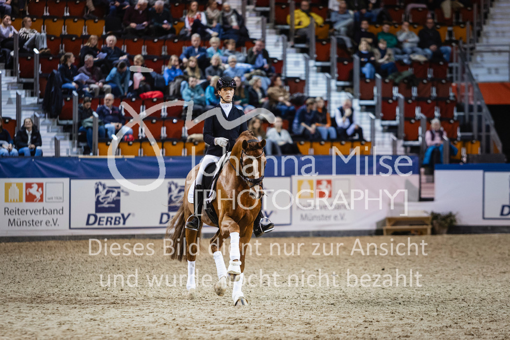 250108_Muenster_Hengstpräsentation-148 | Deine schönsten Turniermomente als professionelle Fotos! Entdecke hochwertige Pferdesport-Fotografie im Online-Shop. Jetzt Fotos finden & bestellen!