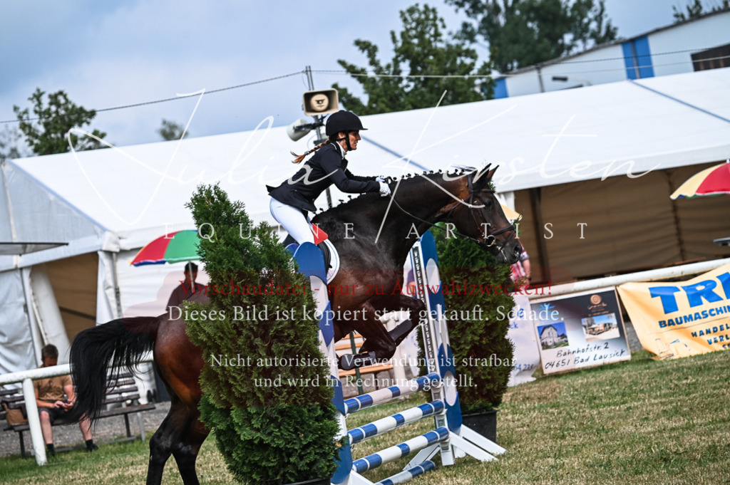 DSC_8307 | Pferde- und Turnierfotografie in Westsachsen. Pferdeportraits, Auftragszeichnungen und intuitive Kunst.