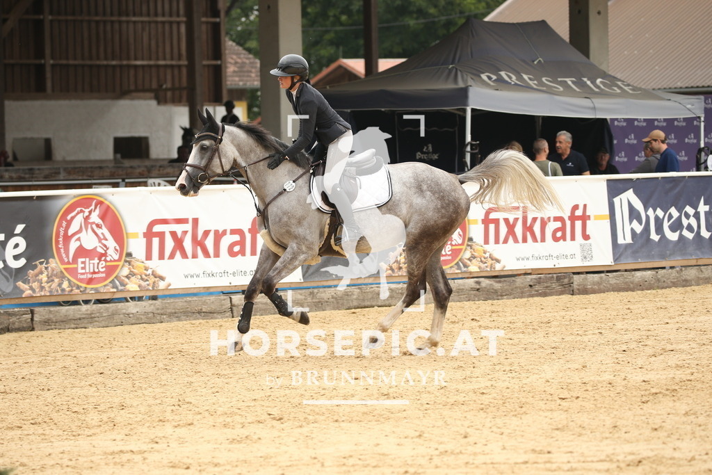 DL2Q6766 | Willkommen bei Brunnmayr - Design & Fotografie – Ihrem Spezialisten für Reitturniere und Pferdeveranstaltungen in Oberösterreich, Salzburg und Bayern! Seit über 17 Jahren sind wir leidenschaftlich dabei.