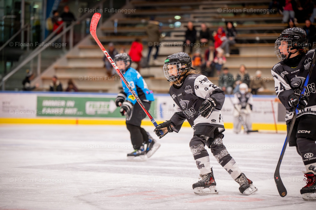 DSC_2998 | "Fussifoto.com – Ihr Ansprechpartner für hochwertige Fotografie! Entdecken Sie kreative Bilder und professionelle Dienstleistungen. Kontaktieren Sie uns für Ihre Projekte!"