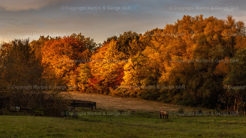 Markus Gerigk_19 | Martini & Gerigk - Realisiert mit Pictrs.com