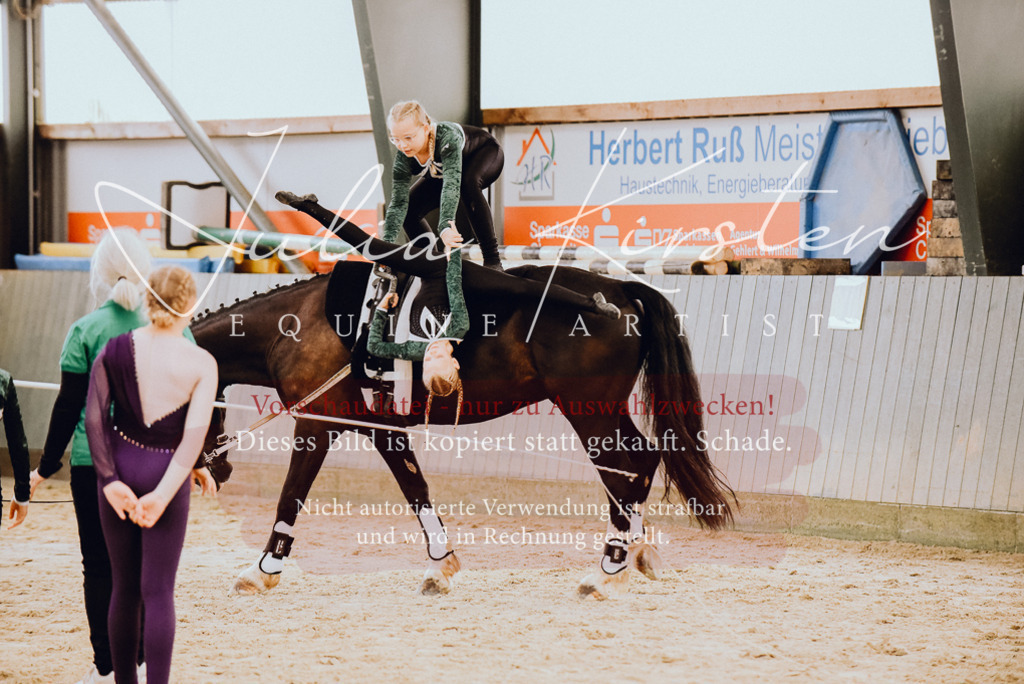 DSC_6870 | Pferde- und Turnierfotografie in Westsachsen. Pferdeportraits, Auftragszeichnungen und intuitive Kunst.