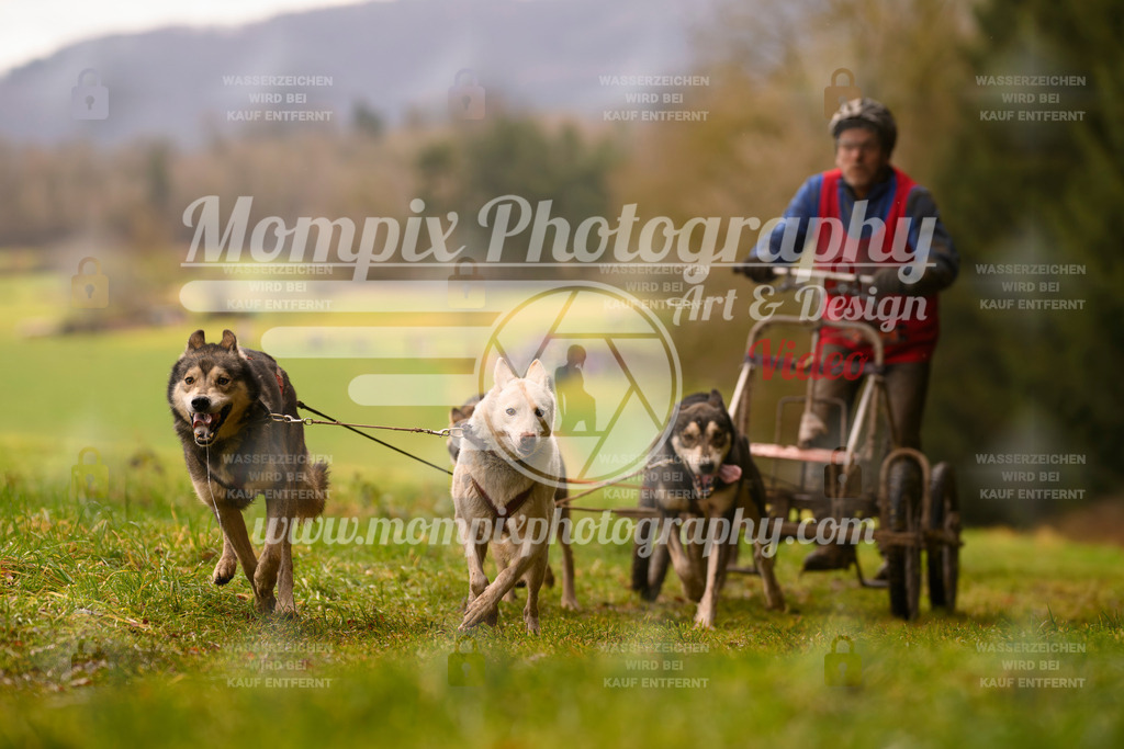 MompixPhotography_2SSTSSBW_2025_SO_Kart-27 | PayLife