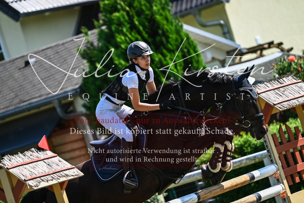 DSC_1118 | Pferde- und Turnierfotografie in Westsachsen. Pferdeportraits, Auftragszeichnungen und intuitive Kunst.