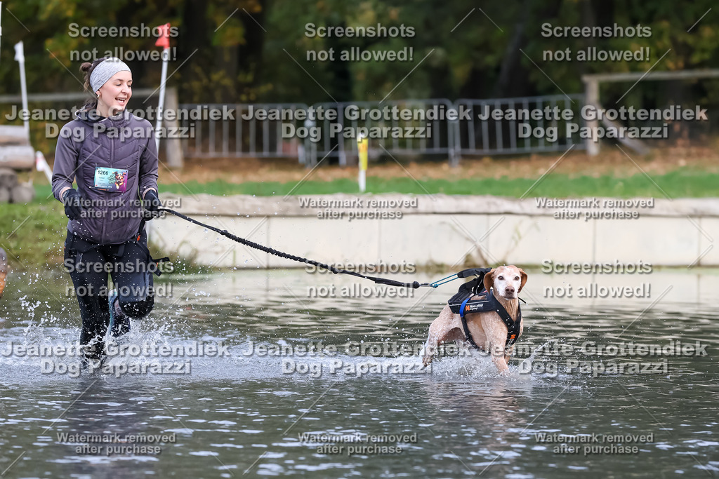 Dog Paparazzi - Strongdog 10-25-6784 | Dog Paparazzi Jeanette Grottendiek Fotografie & Videografie - Realisiert mit Pictrs.com