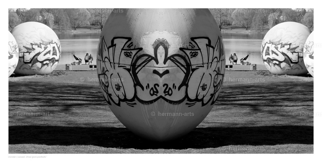 Hermann-Arts_Spiegelbilder_039 | Photo Foto Kunst Art schwarzweiss Bilder Rheine Münster Berlin Blumen 