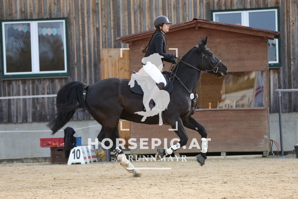 0P6A8883 | Willkommen bei Brunnmayr - Design & Fotografie – Ihrem Spezialisten für Reitturniere und Pferdeveranstaltungen in Oberösterreich, Salzburg und Bayern! Seit über 17 Jahren sind wir leidenschaftlich dabei.