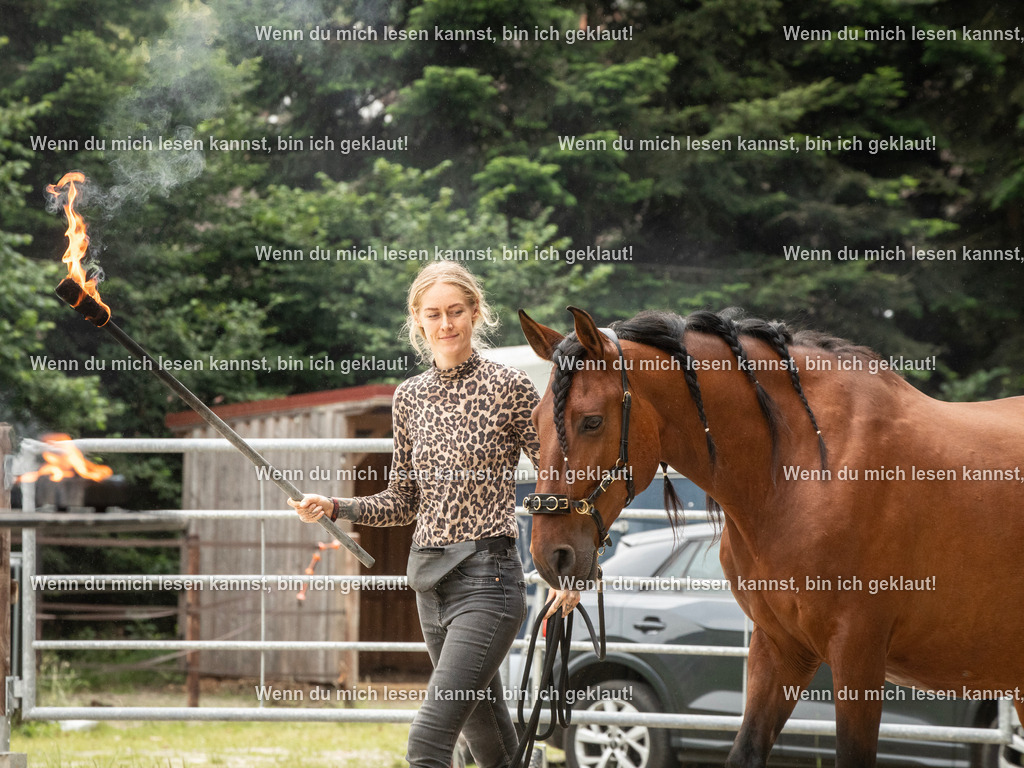 598A7128 | photographylinaismer - Realisiert mit Pictrs.com
