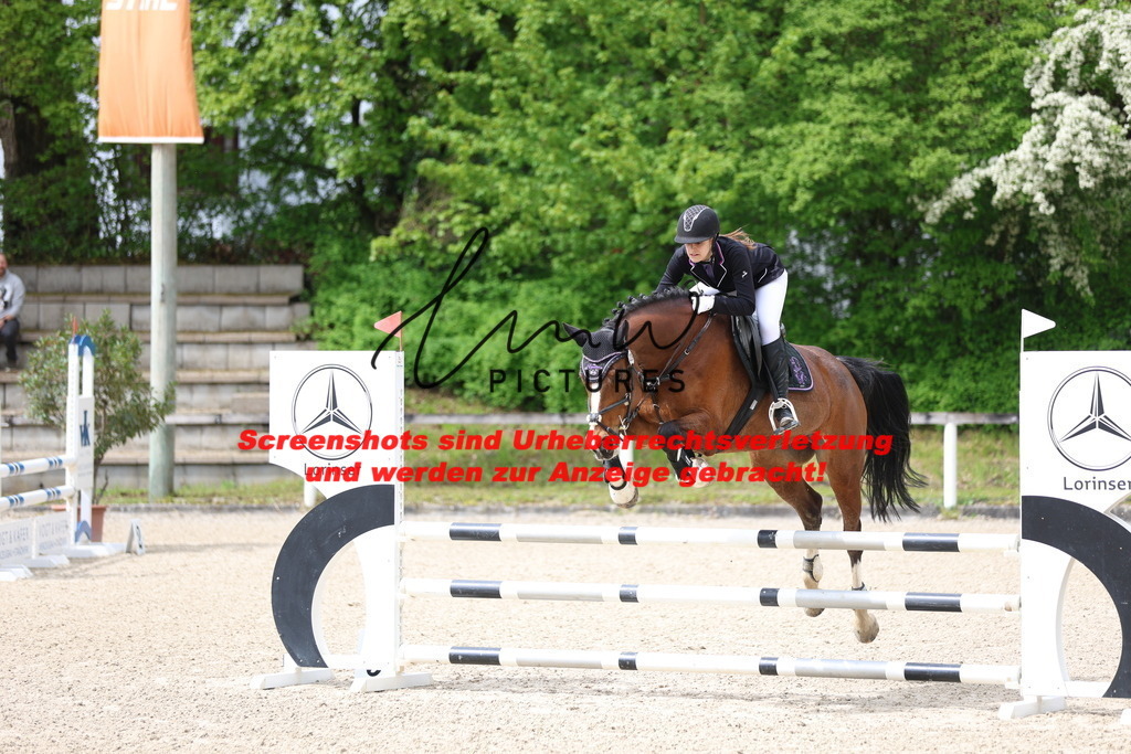 A40A1428 | lmwpictures - Realisiert mit Pictrs.com