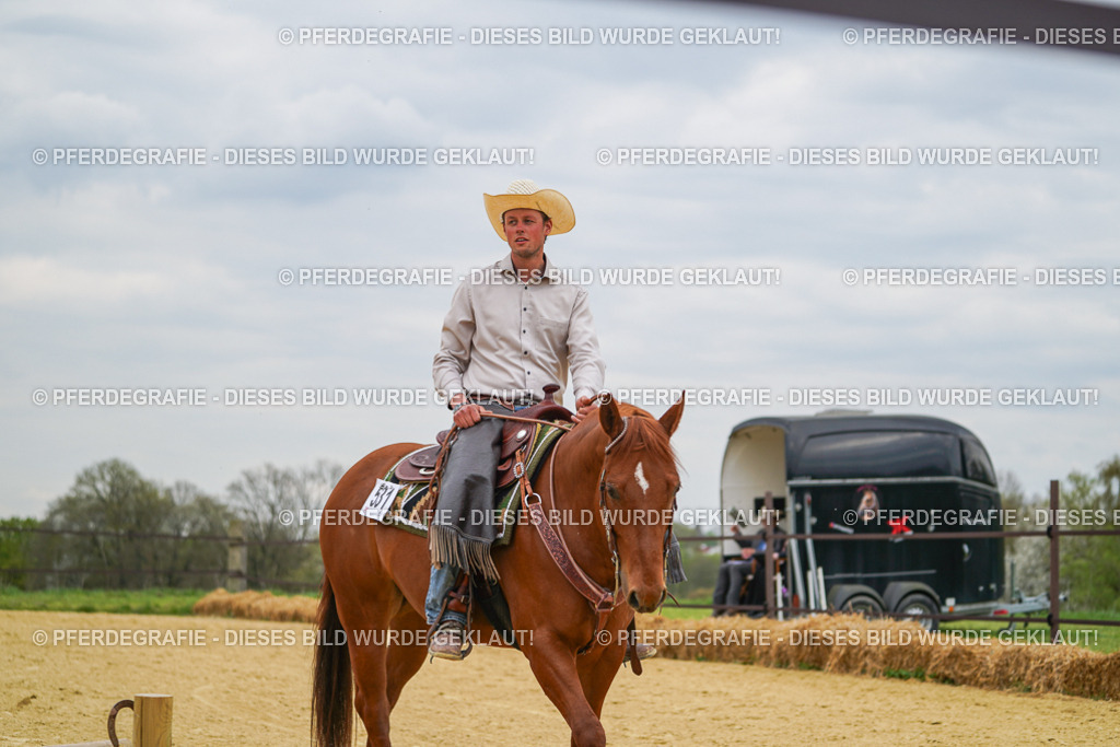 DSC07170 | Pferdegrafie