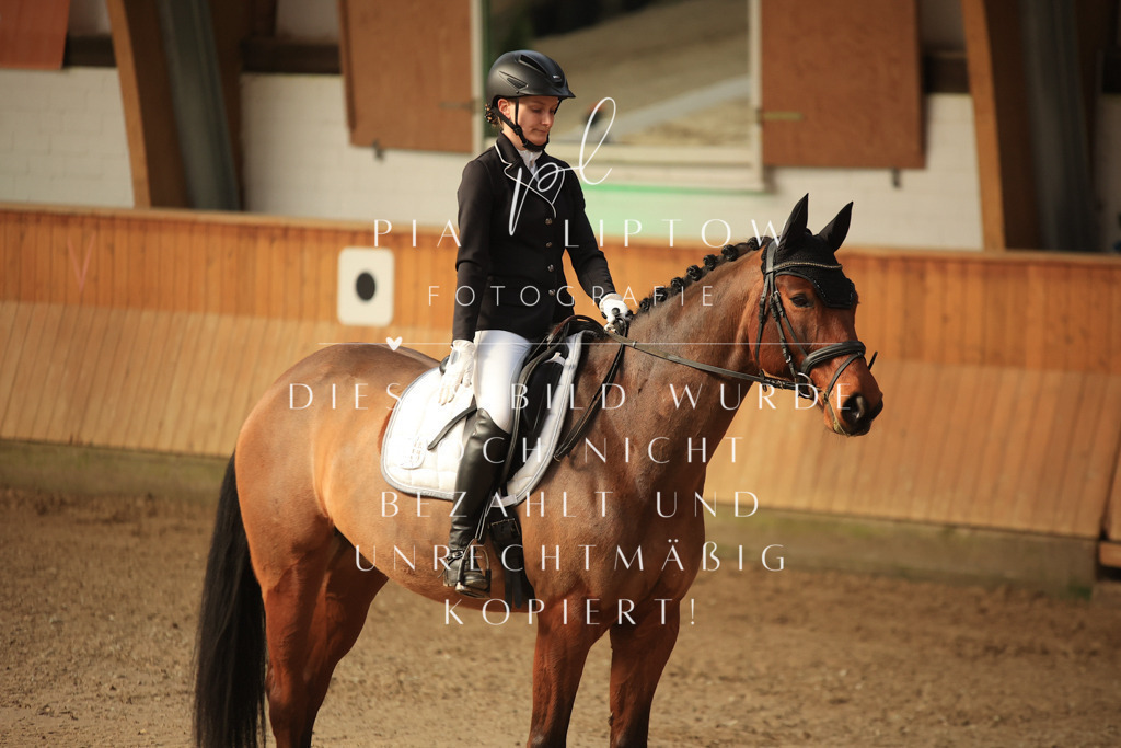 IMGT1355 | pl-fotografie