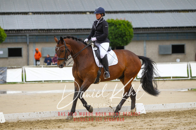 DKP40246 | Turniersportfotografie; Pferdefotografie; Dressurfotografie