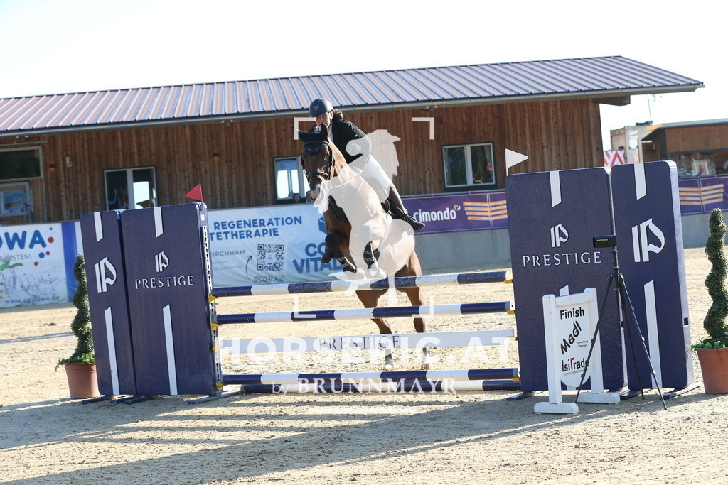 DL2Q1580 | Willkommen bei Brunnmayr - Design & Fotografie – Ihrem Spezialisten für Reitturniere und Pferdeveranstaltungen in Oberösterreich, Salzburg und Bayern! Seit über 17 Jahren sind wir leidenschaftlich dabei.