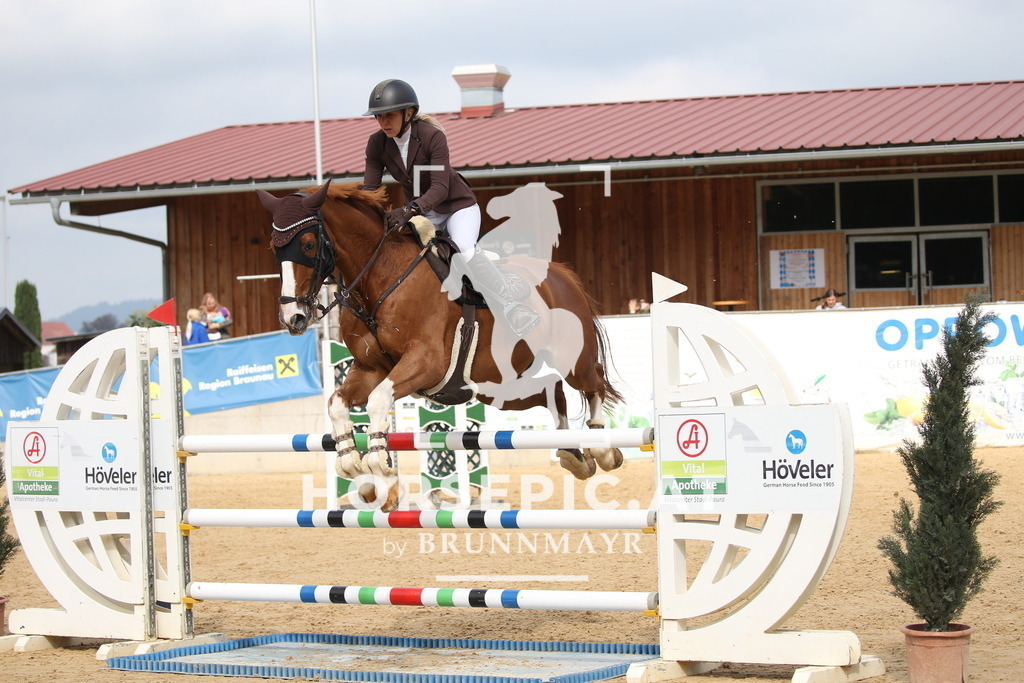 DL2Q5022 | Willkommen bei Brunnmayr - Design & Fotografie – Ihrem Spezialisten für Reitturniere und Pferdeveranstaltungen in Oberösterreich, Salzburg und Bayern! Seit über 17 Jahren sind wir leidenschaftlich dabei.