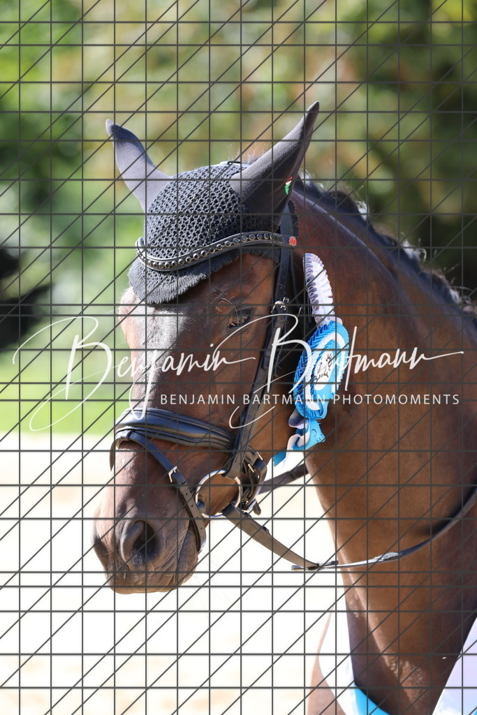 AZ2A2917 | Benjamin Bartmann Photomoments