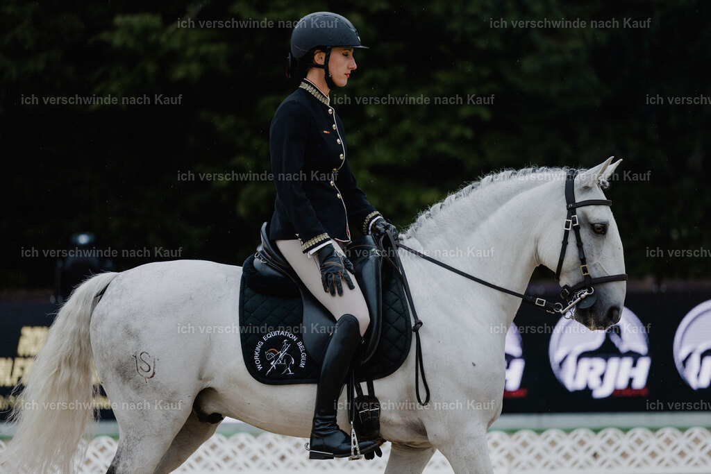 Virginie12FHC2025-25156 | working equitationturnier fotograf videograf stoibphotography marixx film working equitation deutschland reitsport turnierfotografie eventfotografie equestrian events