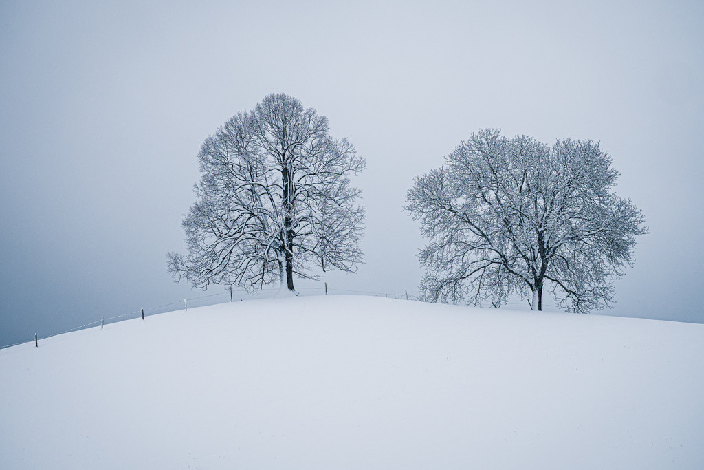 Winterliche Stimmung am Morgen auf der Challhöchi | Schöne Fotografien aus der Stadt und der Natur zum bestellen oder selber hochladen. Druck auf Foto, Postkarte, Kalender, FineArt Hahnemühle, Alu-Dibond , Akustikbilder zur Absorption von Schall und Lärm etc. - Realisiert mit Pictrs.com