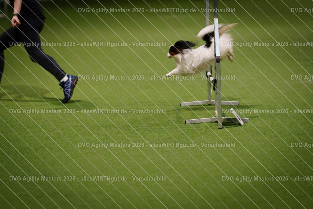 allesWIRTHgut_Tierfotografie-DVG_Agility_Masters_2026-07_07-7R506914 | Professionelle Tierfotografie in Mönchengladbach von Daniel Wirth (allesWIRTHgut). Liebevolle & natürliche Bilder von Hunden & Katzen für unvergessliche Erinnerungen.