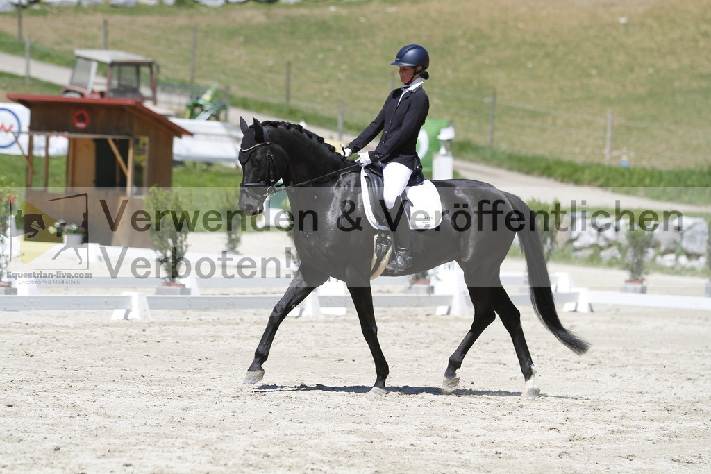 _MG_4738 | equestrian-live-com