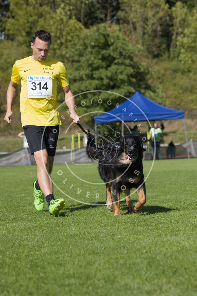 0L8A8022 | Hundefotografie, Tierfotograf, Pfotenfotografie, Fotoshooting Hund, Hunde Portrait, Hundesport, Hundeportraits, Heideshooting, Hunde, Sportfotograf, Hundefotograf, Turnierhundsport, THS,  - Realisiert mit Pictrs.com