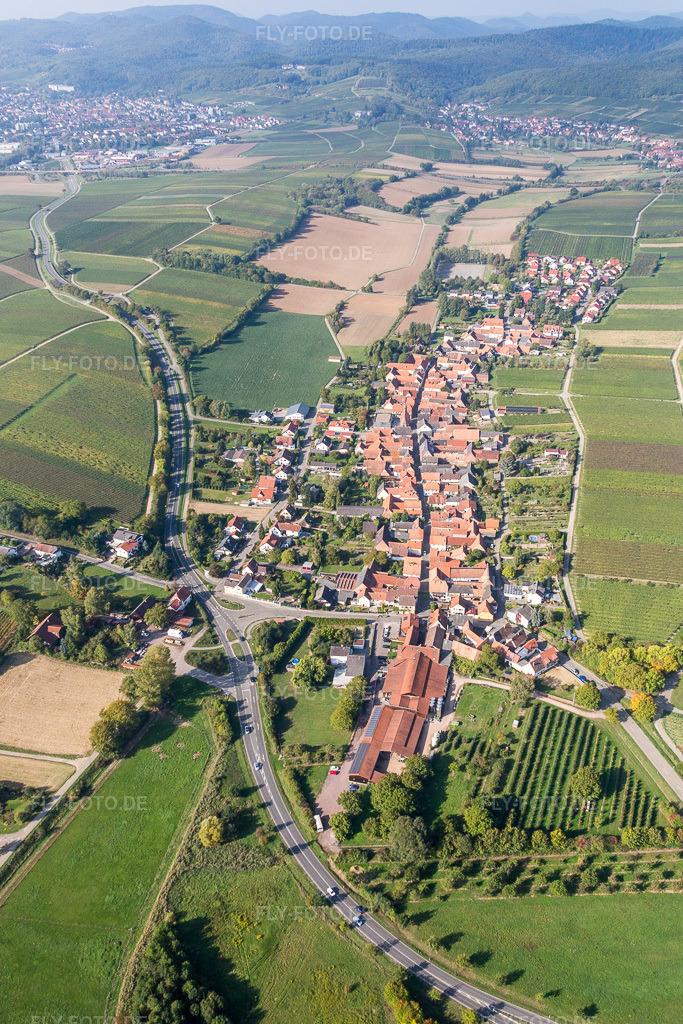 Luftbild: landwirtschaftlichen Feldern und Nutzflächen in Niederhorbach im Bundesland Rheinland-Pfalz in Deutschland. Foto: IMG_084481.jpg vom 03.10.2015 durch Werner Riehm/FLY-FOTO.de