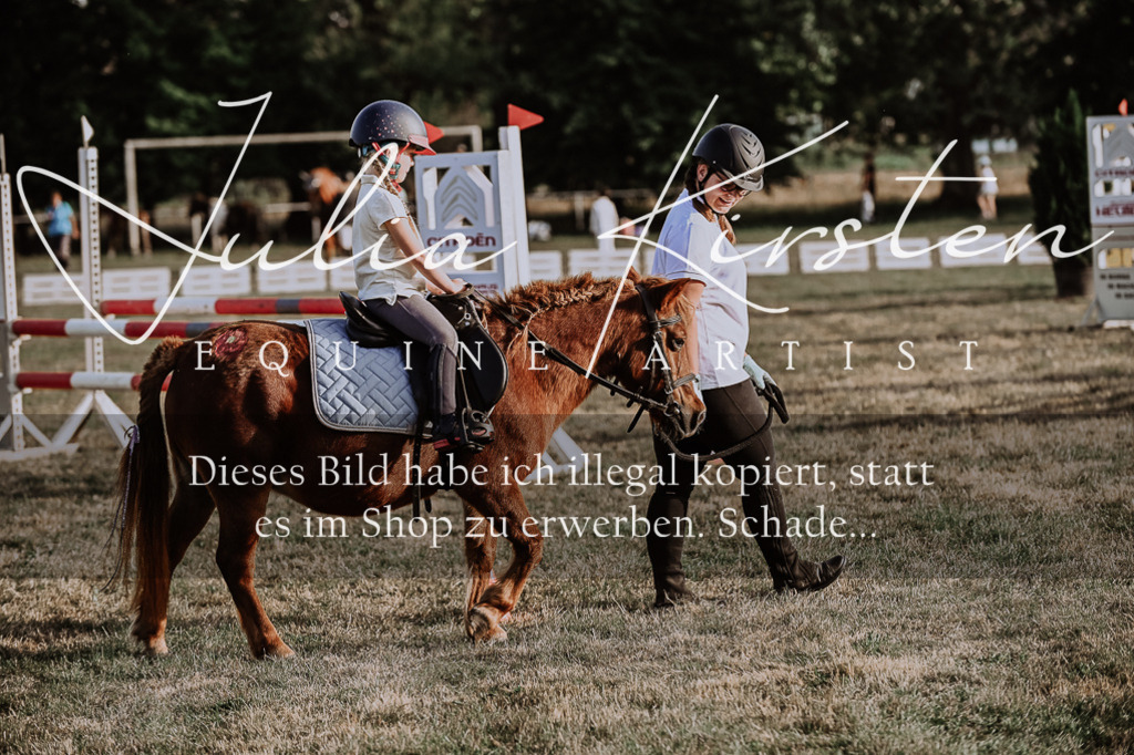 DSC_0131 | Pferde- und Turnierfotografie in Westsachsen. Pferdeportraits, Auftragszeichnungen und intuitive Kunst.