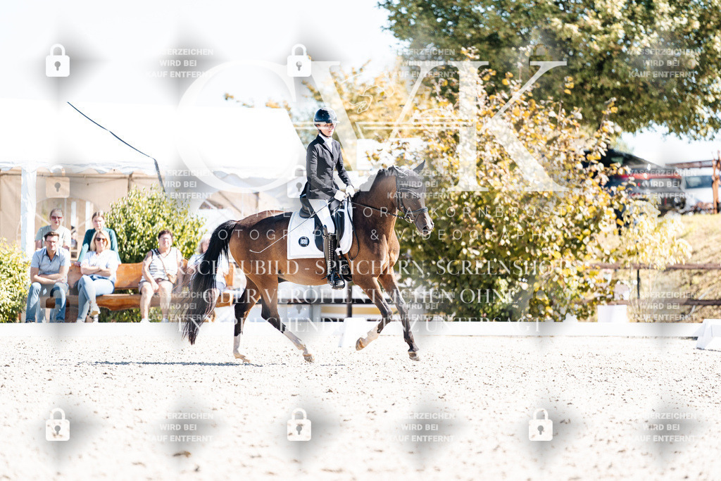 CK909659 | Turnierfotografie Pferdefotografie Trier Rheinland-Pfalz Pferdesport Reitsport Tierfotografie Sportfotografie Pferdevideo Pferdevideografie Equestrianvideography equestrianphotography  - Realisiert mit Pictrs.com