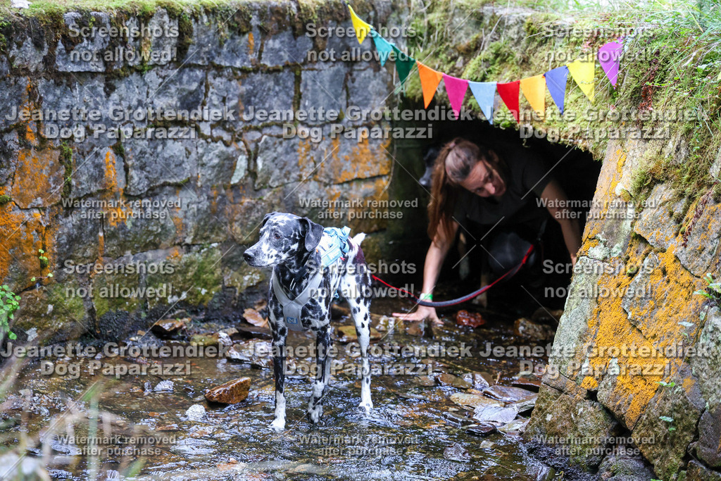 Dog Paparazzi -  TH 26-524 | Dog Paparazzi Jeanette Grottendiek Fotografie & Videografie - Realisiert mit Pictrs.com